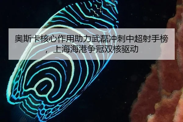 ao-si-ka-he-xin-zuo-yong-zhu-li-wu-lei-chong-ci-zhong-chao-she-shou-bang-shang-hai-hai-gang-zheng-guan-shuang-he-qu-dong-3-152.jpg