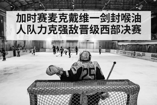 NHL playoff ice hockey action