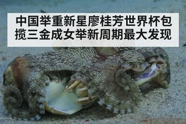 中国举重新星廖桂芳世界杯包揽三金成女举新周期最大发现