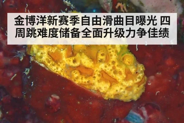 金博洋新赛季自由滑曲目曝光 四周跳难度储备全面升级力争佳绩
