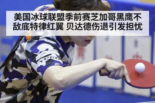 美国冰球联盟季前赛芝加哥黑鹰不敌底特律红翼 贝达德伤退引发担忧