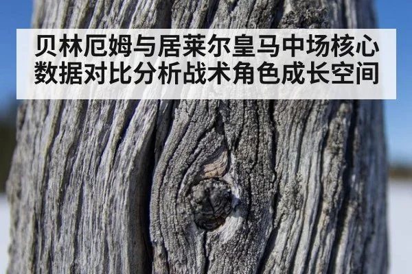 贝林厄姆与居莱尔皇马中场核心数据对比分析战术角色成长空间